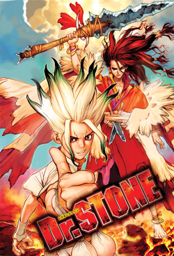 Dr. Stone Cover