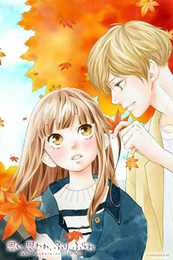 Omoi, Omoware, Furi, Furare Cover